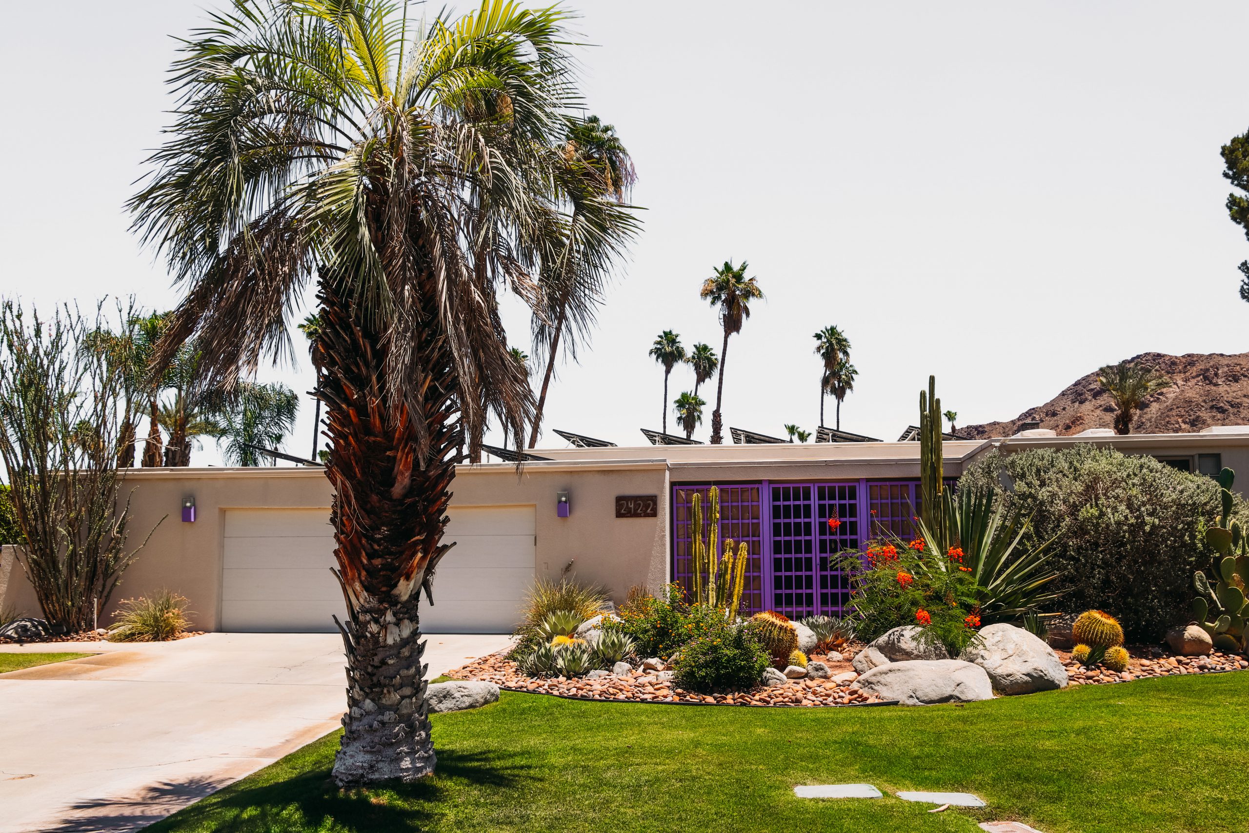 Palm Springs colorful purple door